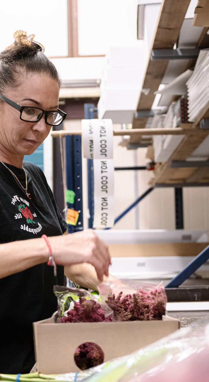 Logistiek Medewerker bij DD Export Flower