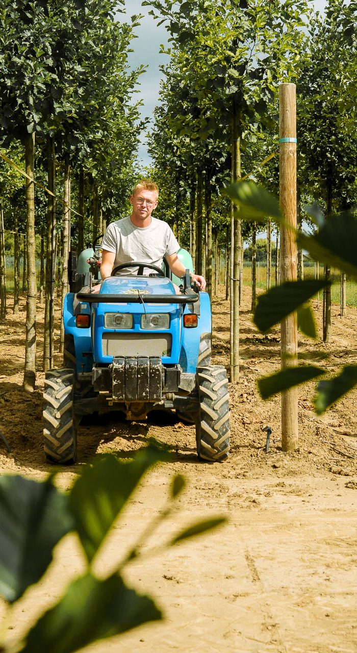 Medewerker Boomkwekerij bij G & M Groen