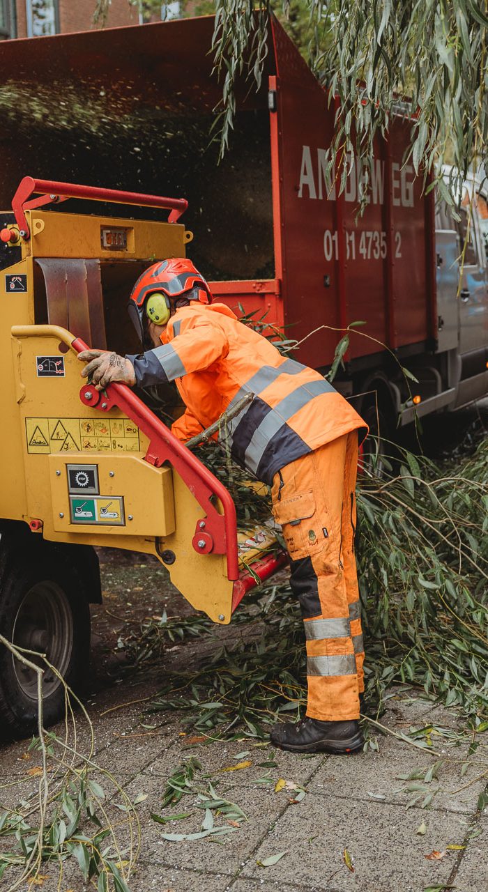 Boomverzorger bij Andeweg